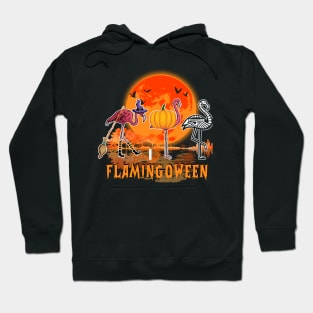 Happy Flamingoween Funny Halloween Costume Flamingo Lover Hoodie